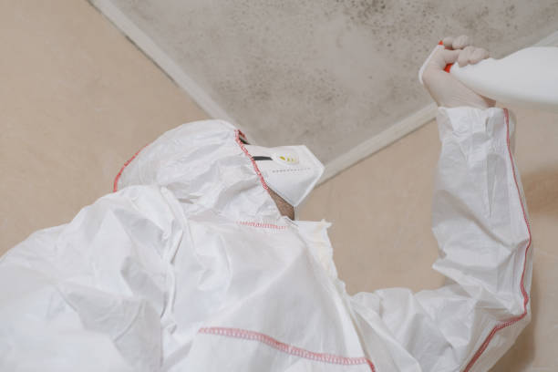 Best Office Mold Removal Services  in Danville, AR