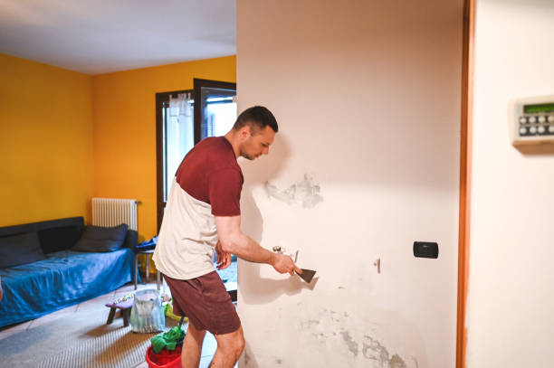 Best Best Mold Removal Companies  in Danville, AR