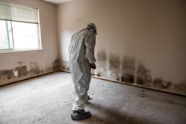 Best Water Damage Restoration  in Danville, AR