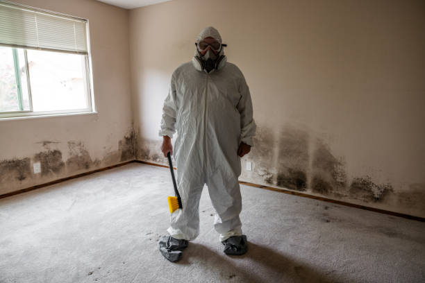 Professional Mold Removal in Danville, AR